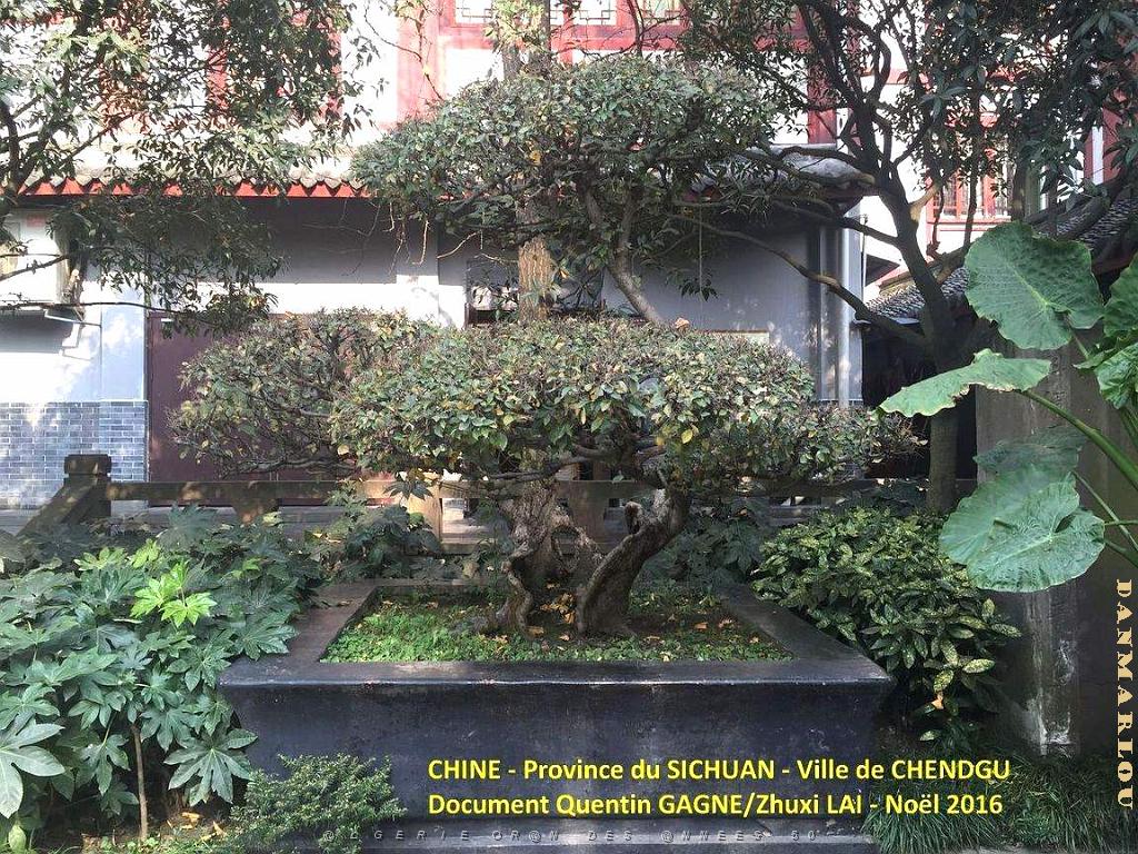 Chendgu 047.JPG